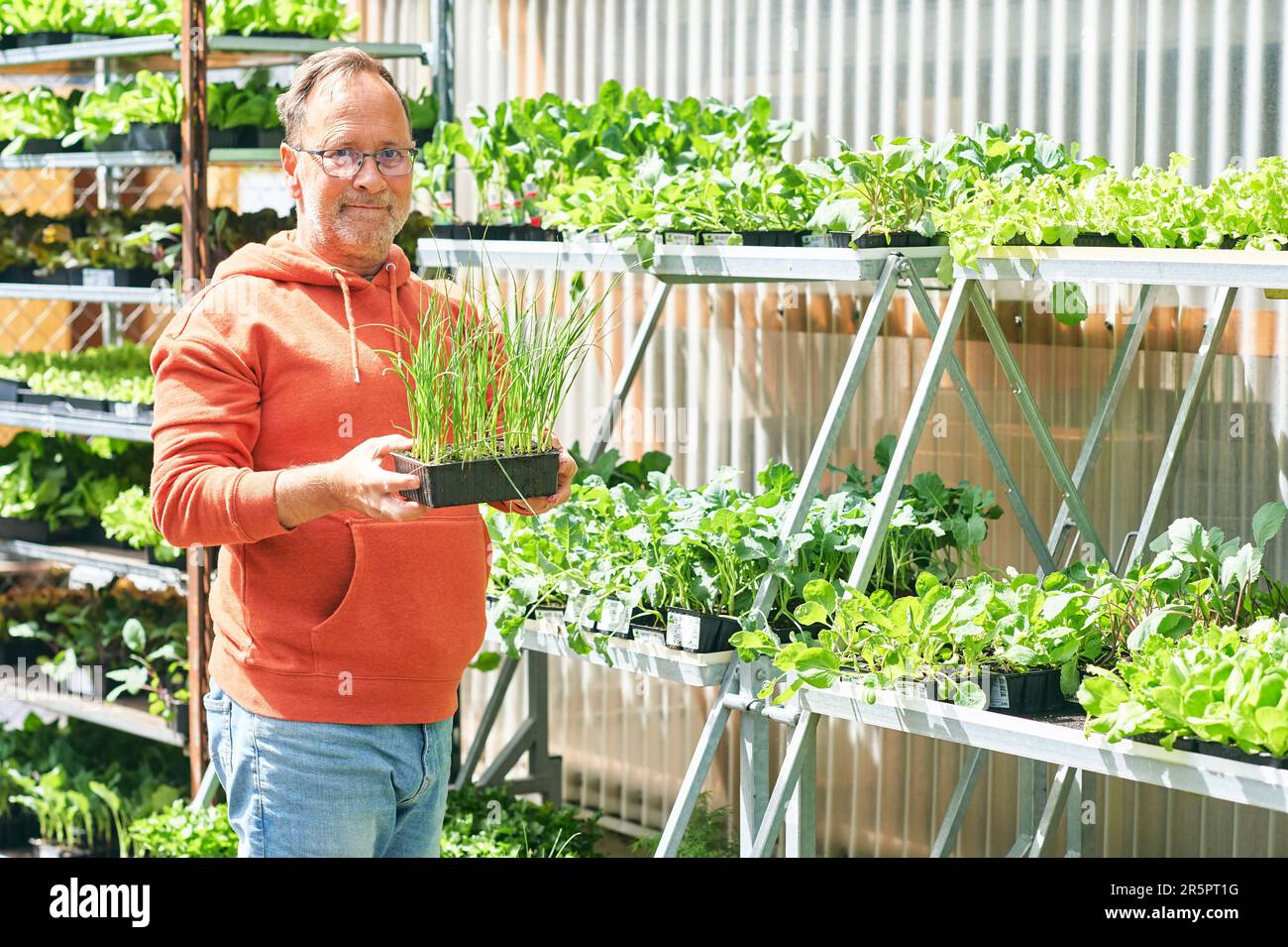 Senior man plants garden hi-res stock photography and images - Alamy