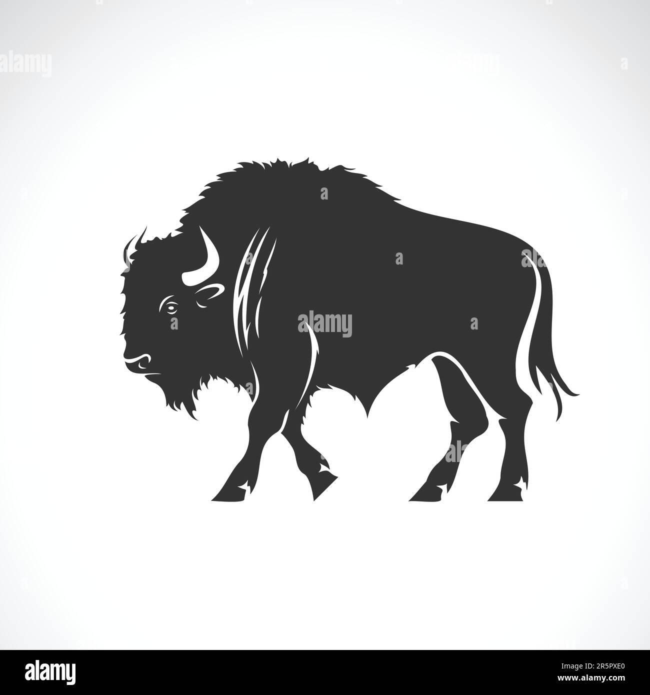 Vector of a bison design on white background. Wild Animals. Vector ...