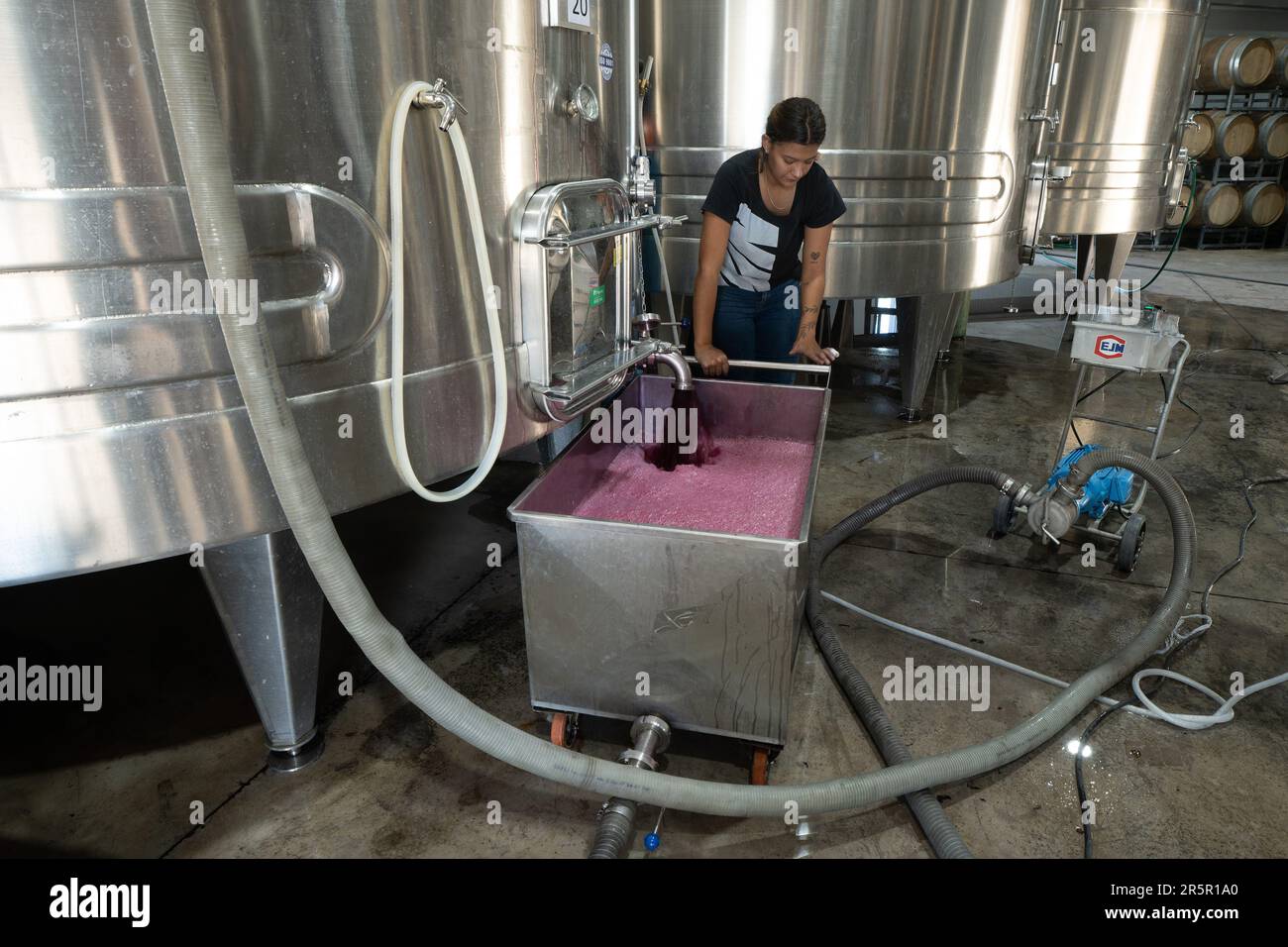 A vinter drains wine from a vat for a circulation pump over at the La