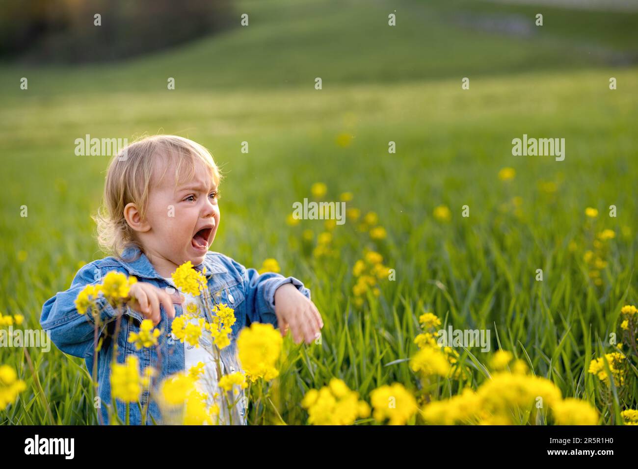 the first walk in nature is fraught with a lot of interesting and dangerous things Stock Photo