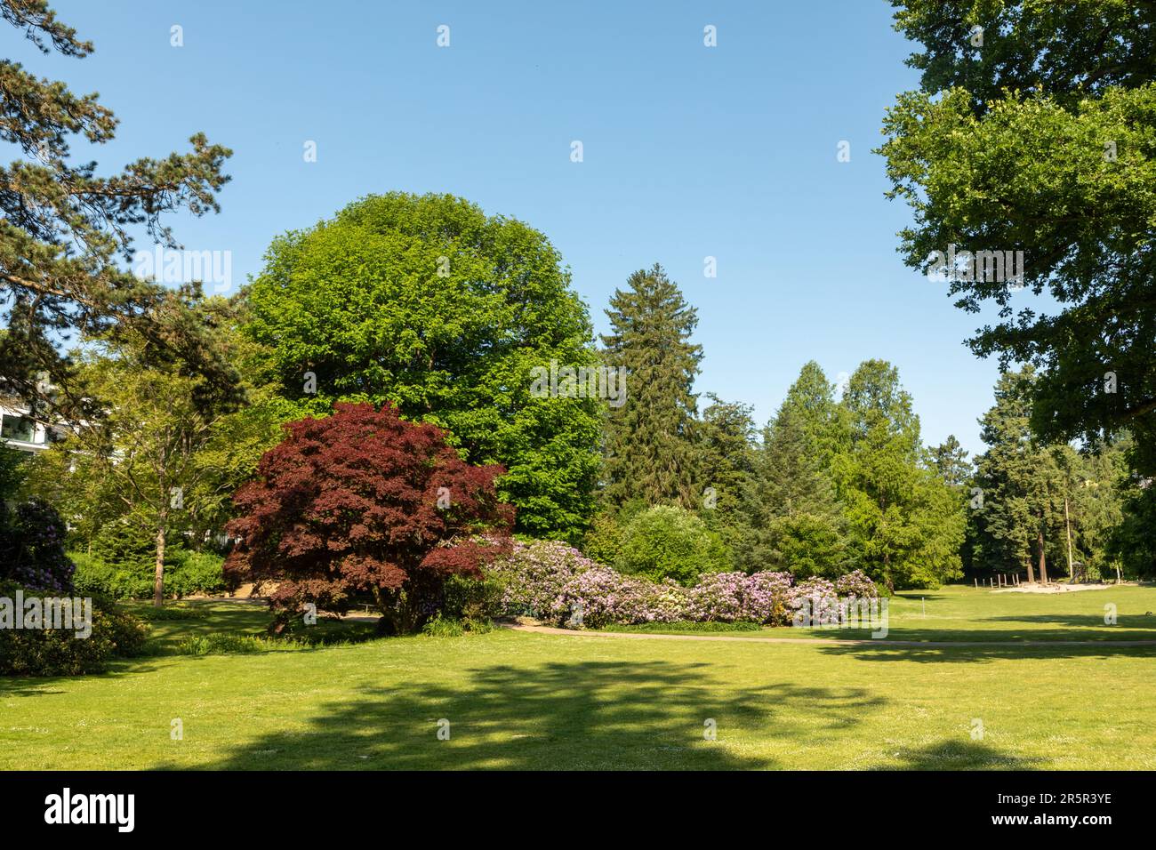 scenic summer impression of blooming trees in the Nero park in Wiesbaden, Germany Stock Photo