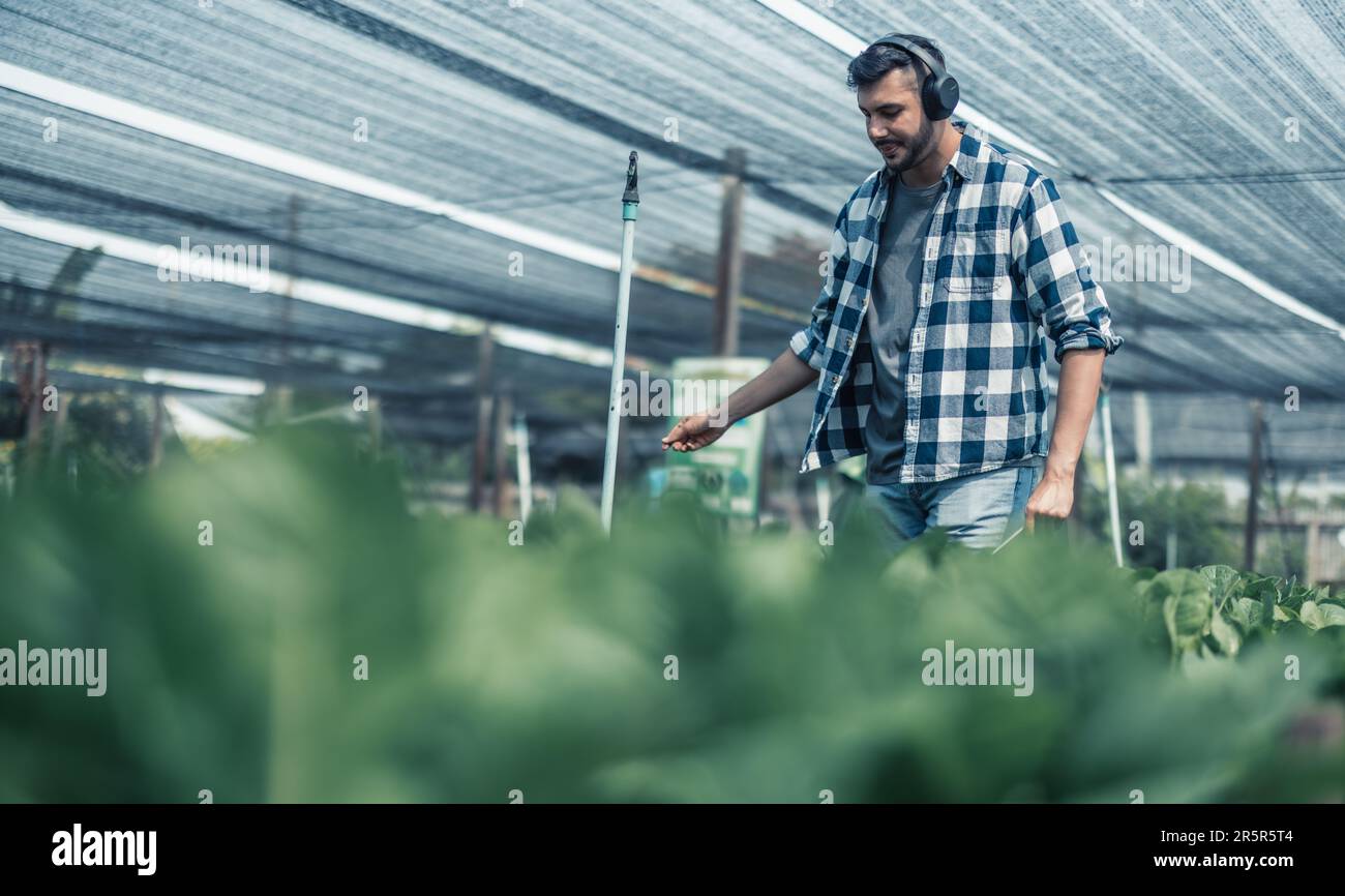 Farming worker enhance healthy work-life balance by listening to music ...