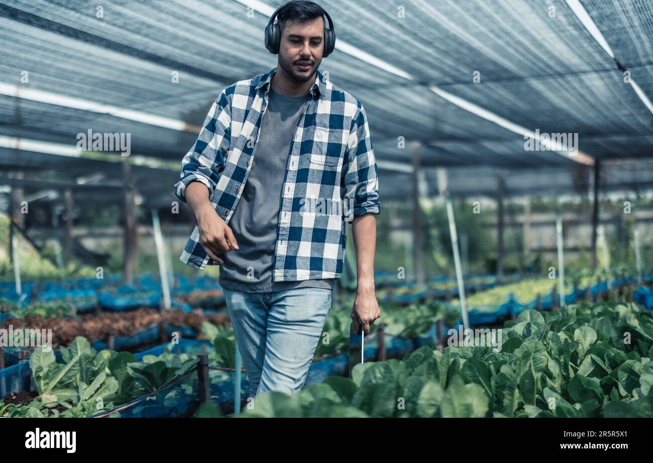 Farming worker enhance healthy work-life balance by listening to music ...