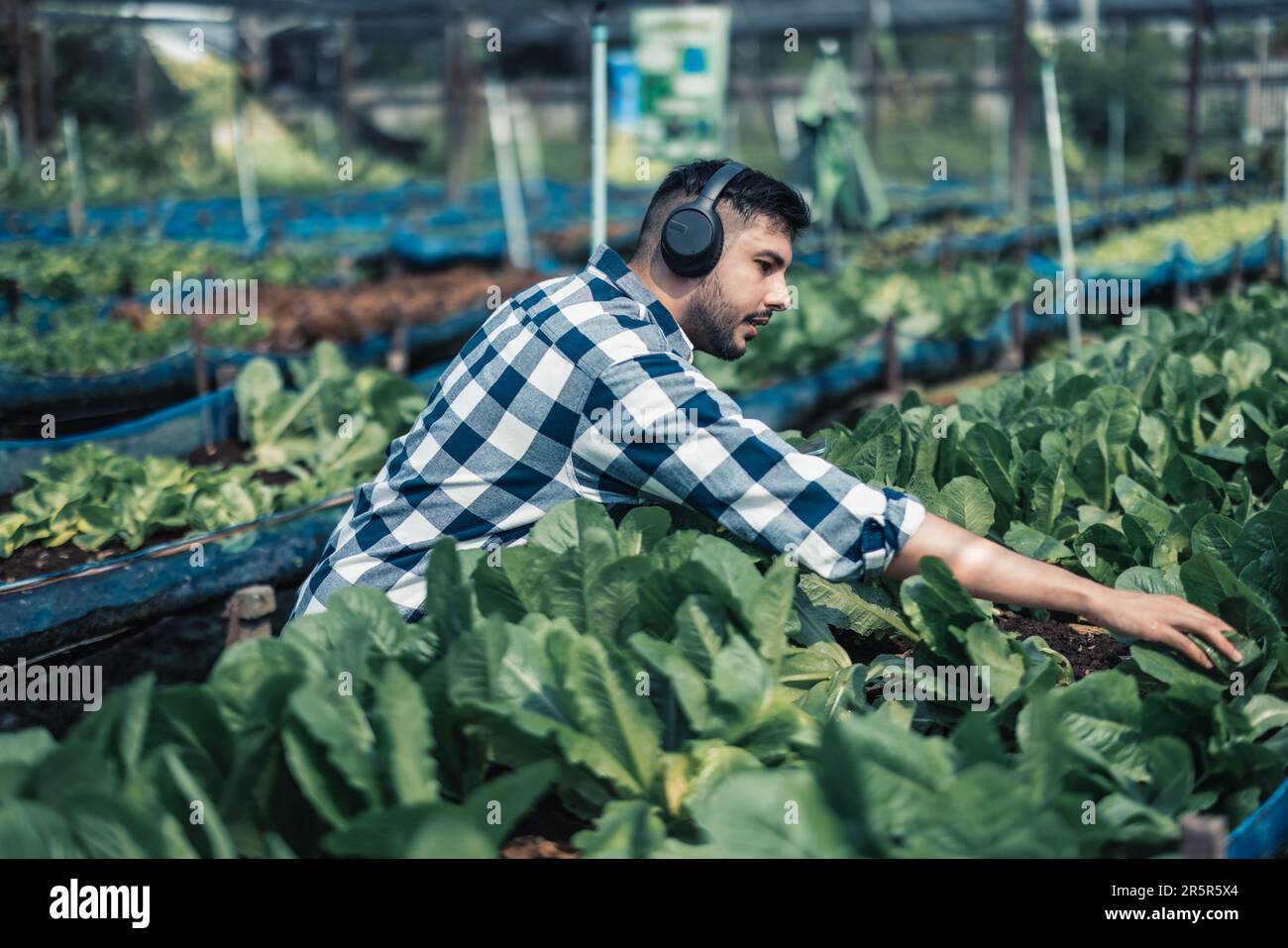 Farming worker enhance healthy work-life balance by listening to music ...