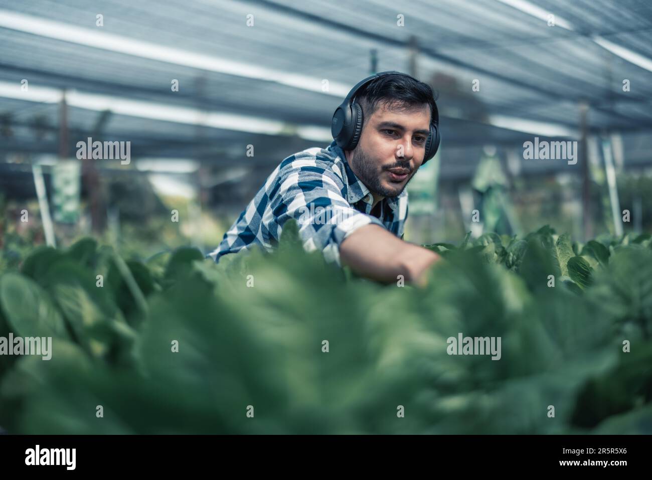 Farming worker enhance healthy work-life balance by listening to music ...