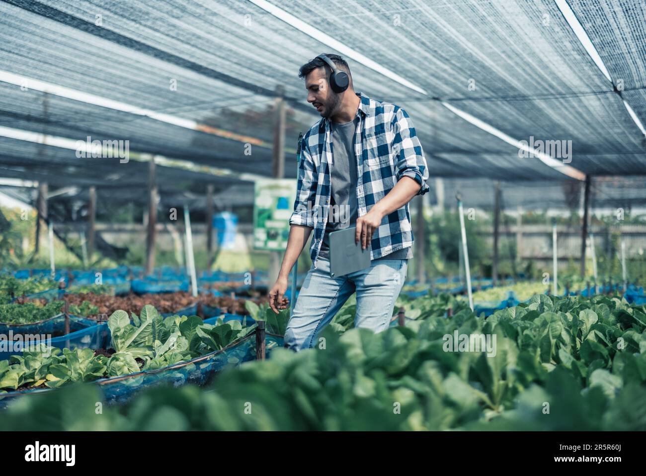 Farming worker enhance healthy work-life balance by listening to music ...
