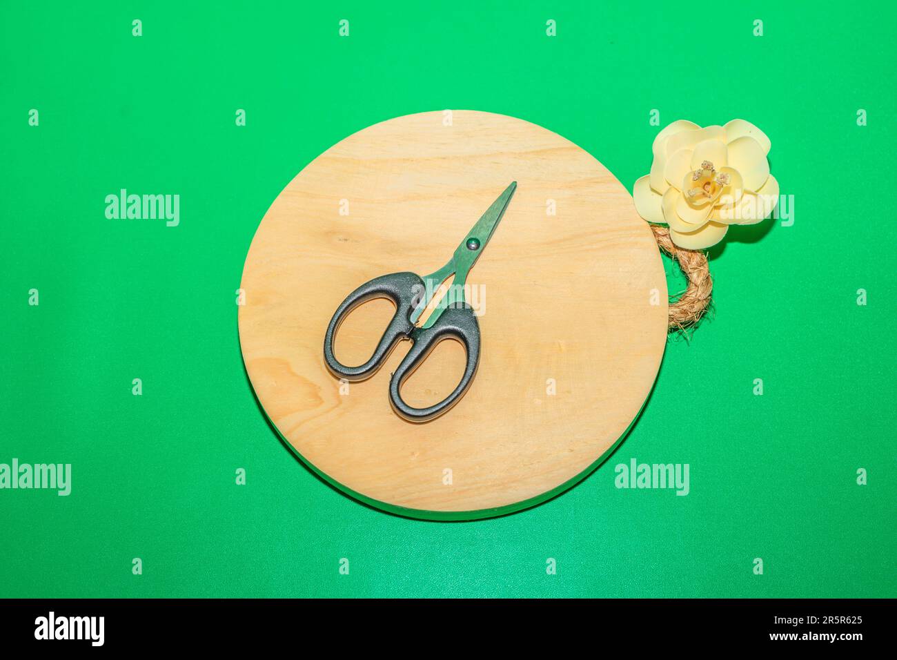 The Black Handle Scissors are a stylish and versatile tool for all your cutting needs Stock