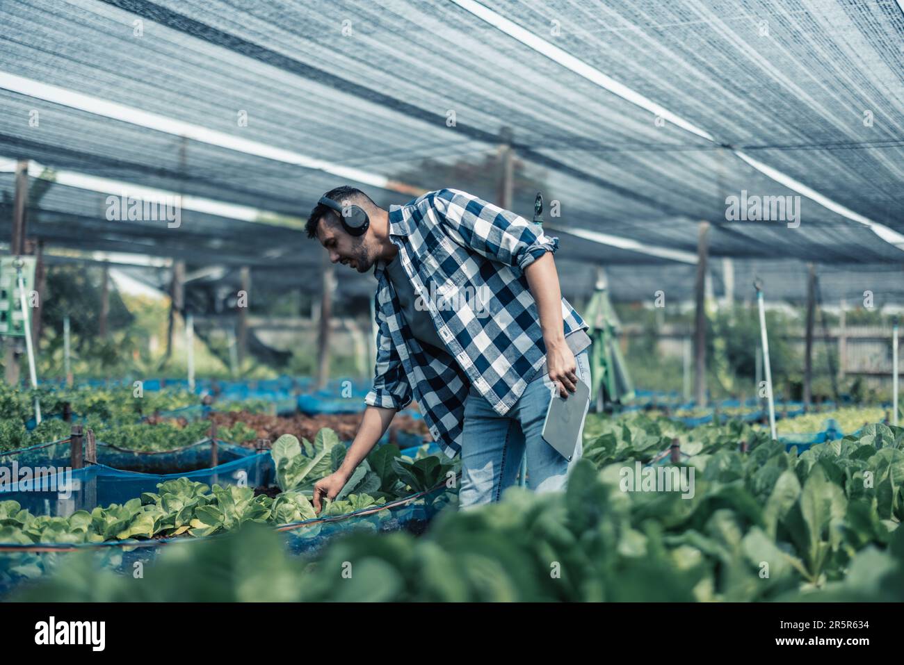 Farming worker enhance healthy work-life balance by listening to music ...