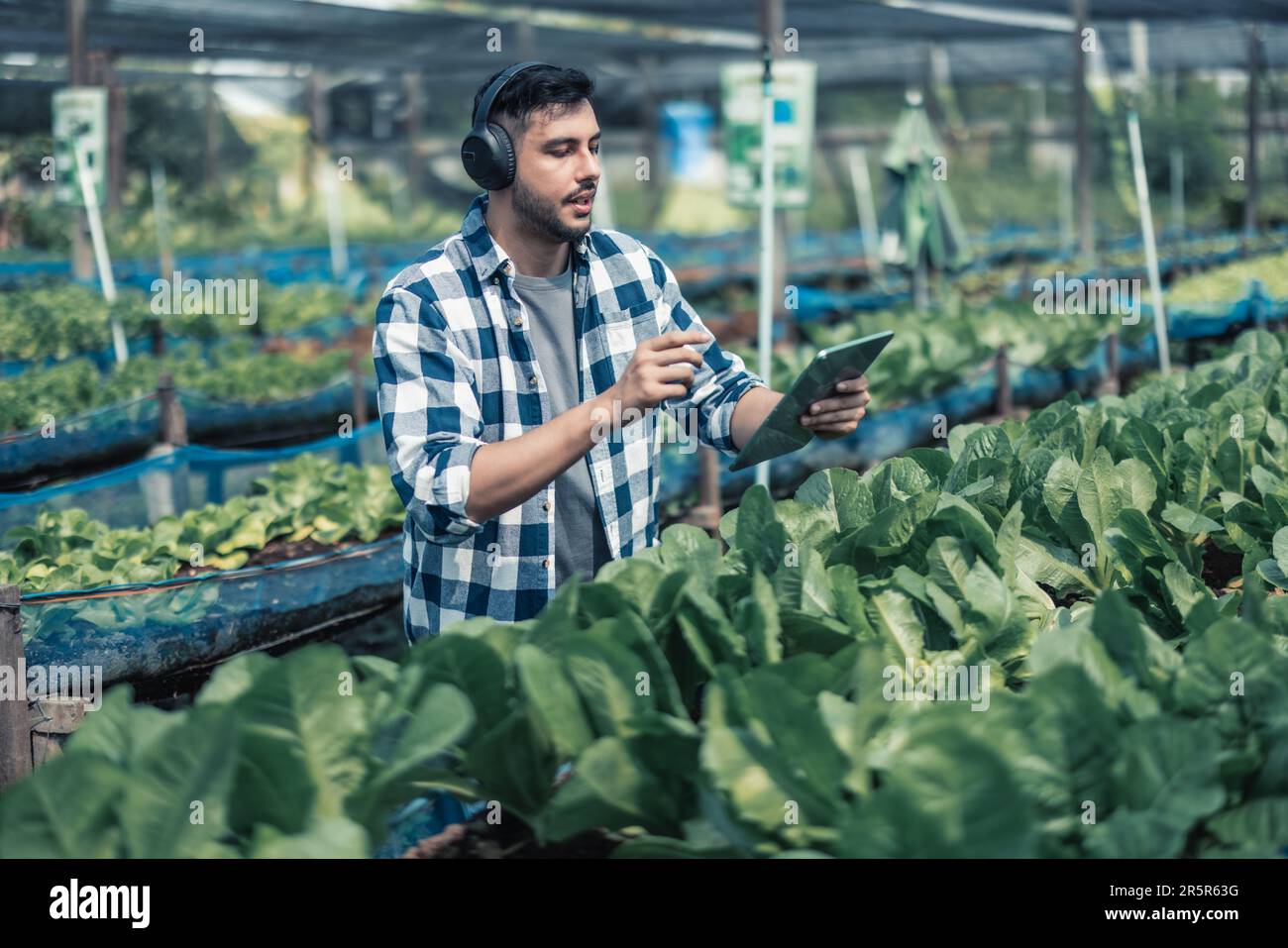 Farming worker enhance healthy work-life balance by listening to music ...