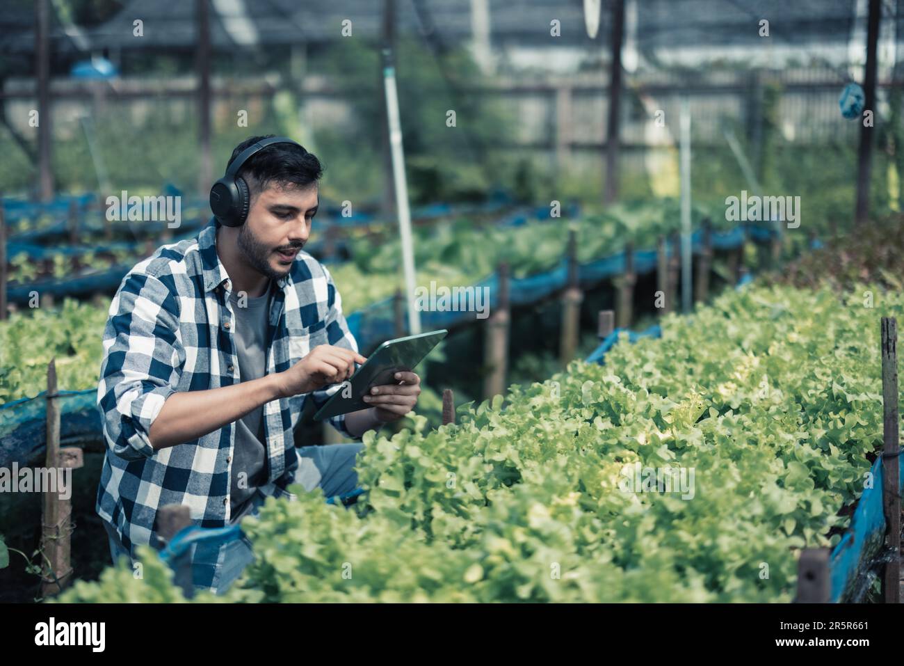 Farming worker enhance healthy work-life balance by listening to music ...