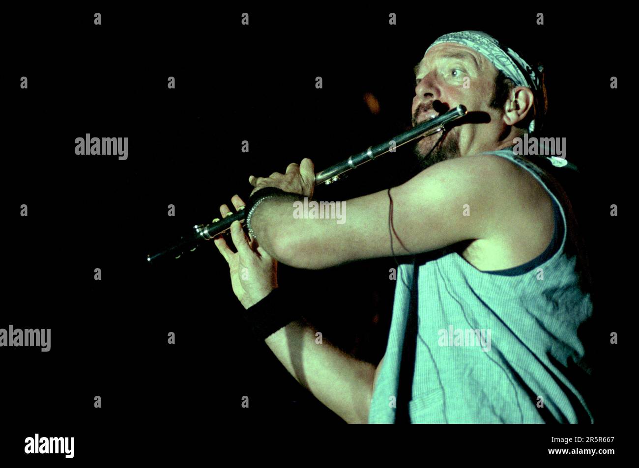Jethro tull at the castle hi-res stock photography and images - Alamy