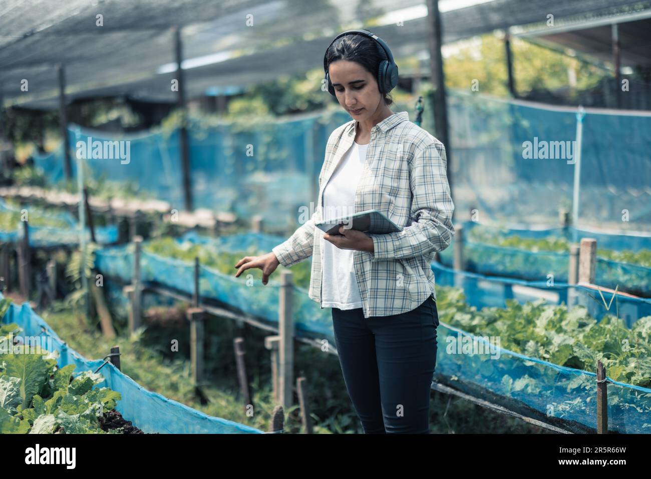 Farming worker enhance healthy work-life balance by listening to music ...