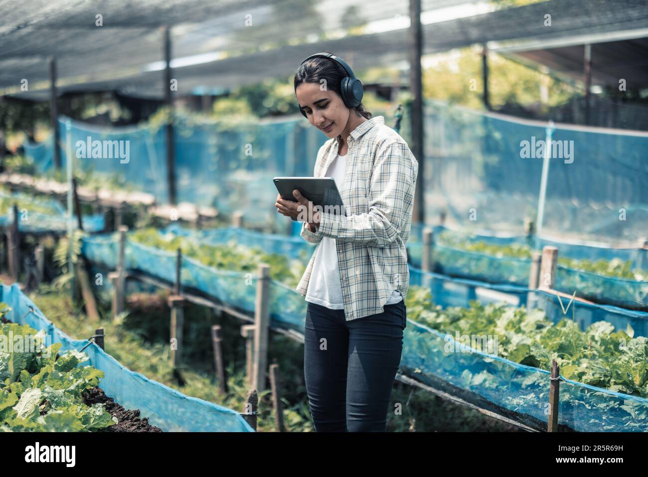 Farming worker enhance healthy work-life balance by listening to music ...