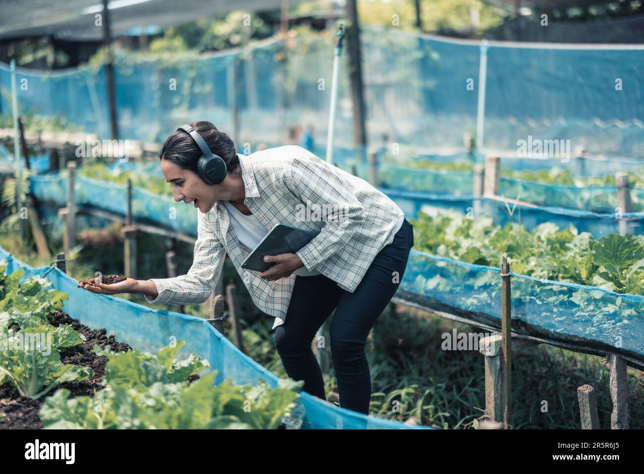 Farming worker enhance healthy work-life balance by listening to music ...