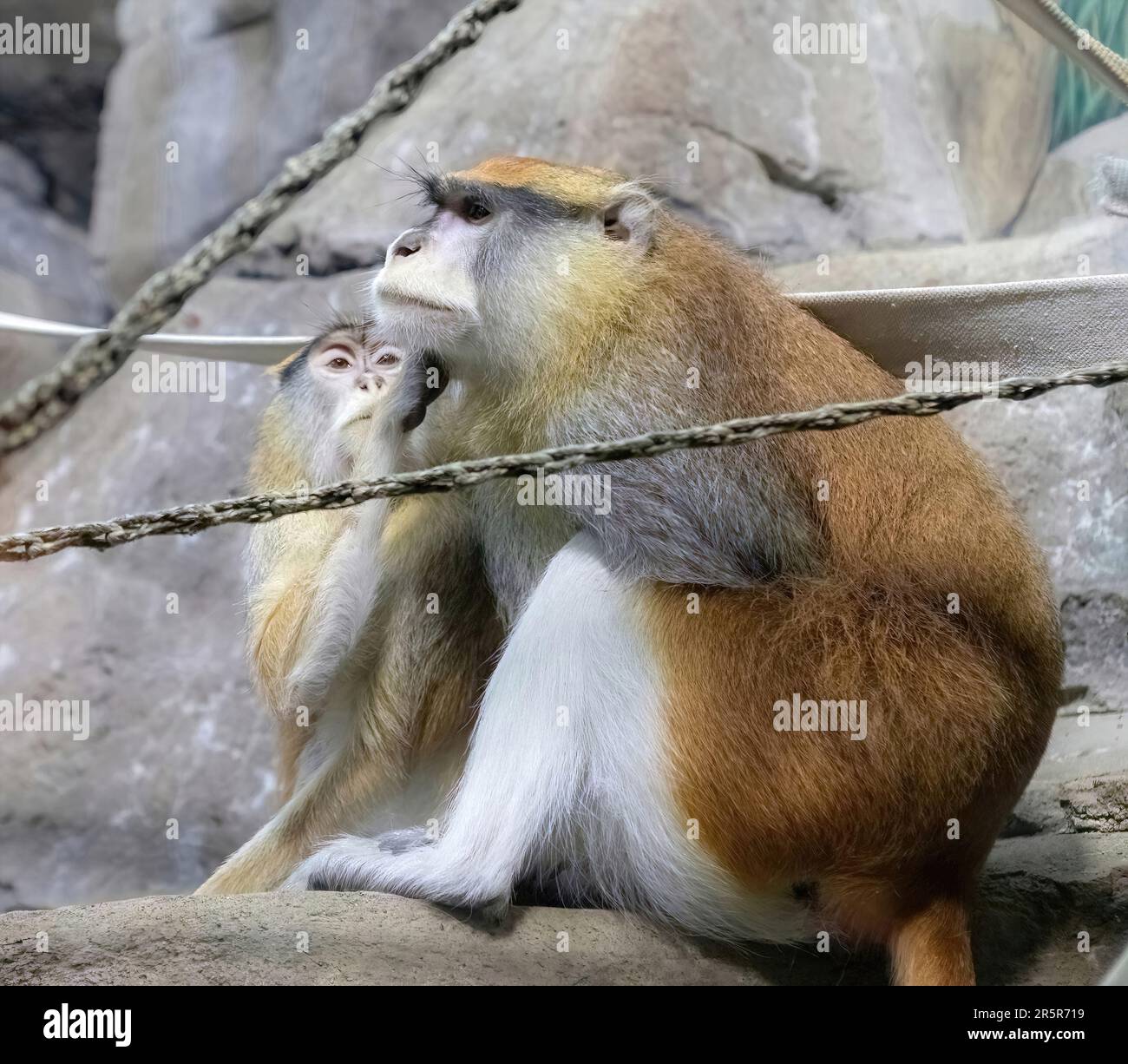 is the mn zoo open on the 4th of july