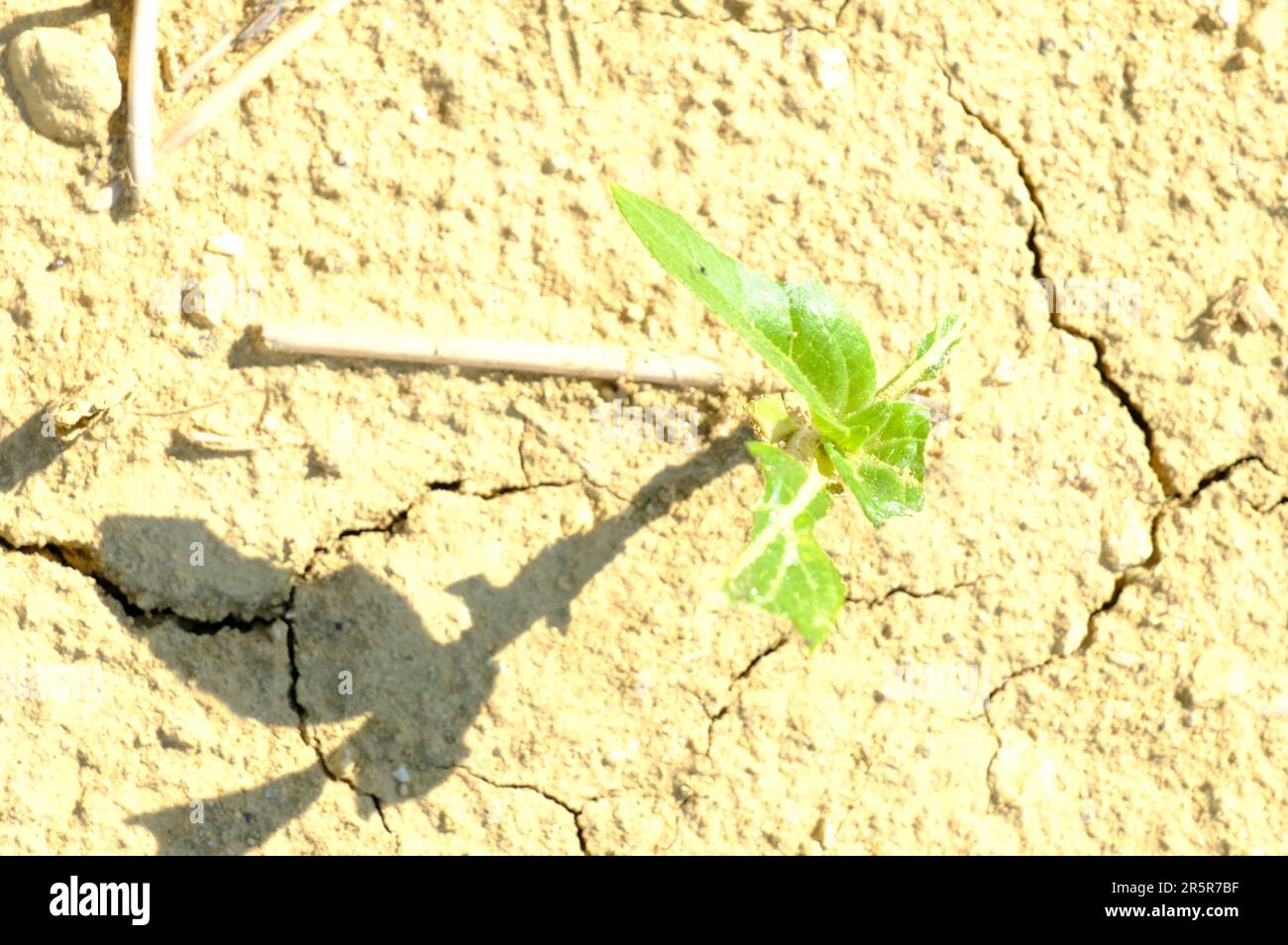 France 05th June 2023 Droughts Floods And Heat Waves Threaten