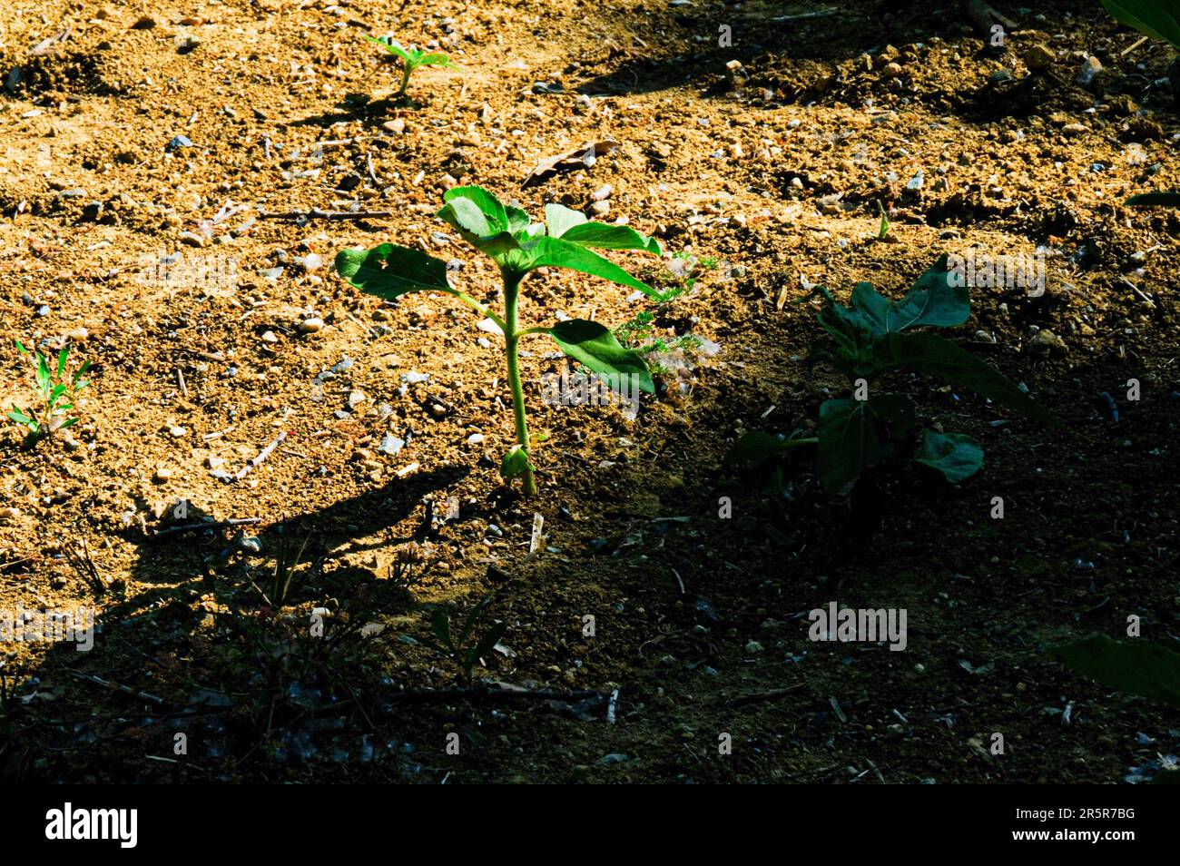 France 05th June 2023 Droughts Floods And Heat Waves Threaten
