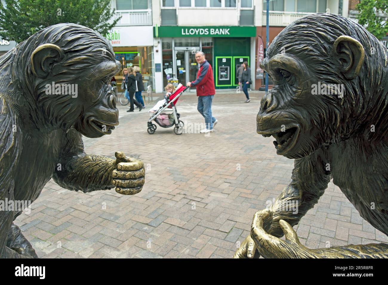 wild chimp conflict, a bronze sculpture by gillie and marc, depicting fighting chimps, called alex and owen, in kingston upon thames, surrey, england Stock Photo