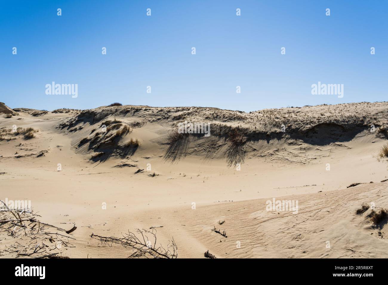 The Gray Dunes, or the Dead Dunes is sandy hills with a bit of green specks at the Lithuanian side of the Curonian Spit Stock Photo