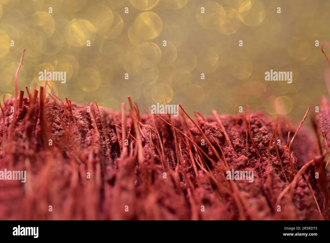 Red fibres hi-res stock photography and images - Alamy