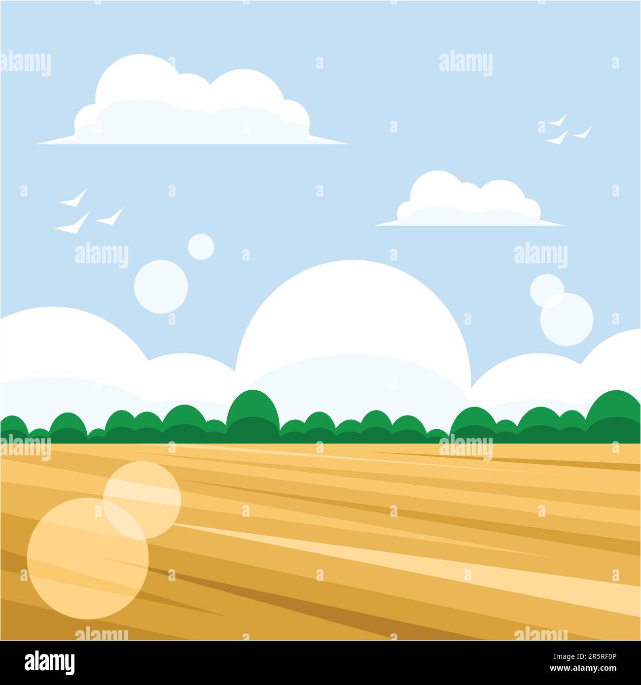 Wheatfield with blue sky and white clouds Stock Vector