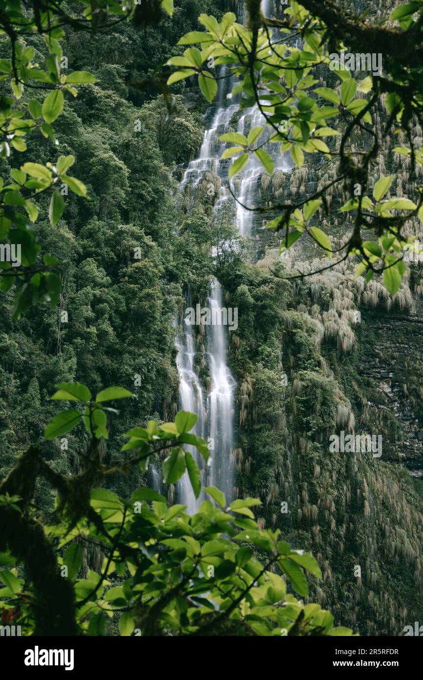 A majestic waterfall cascading down a lush green forest full of trees ...
