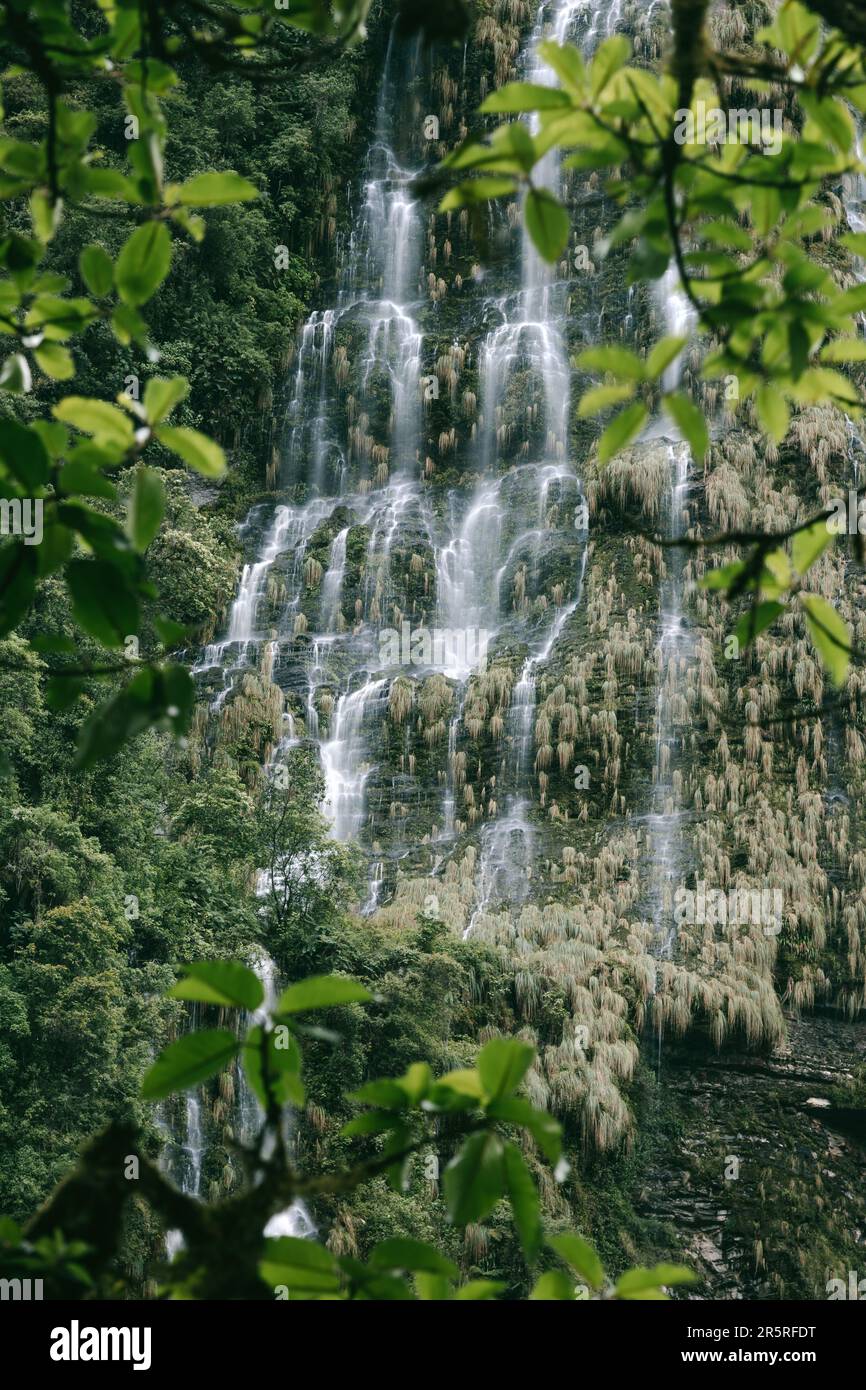 A majestic waterfall cascading down a lush green forest full of trees ...