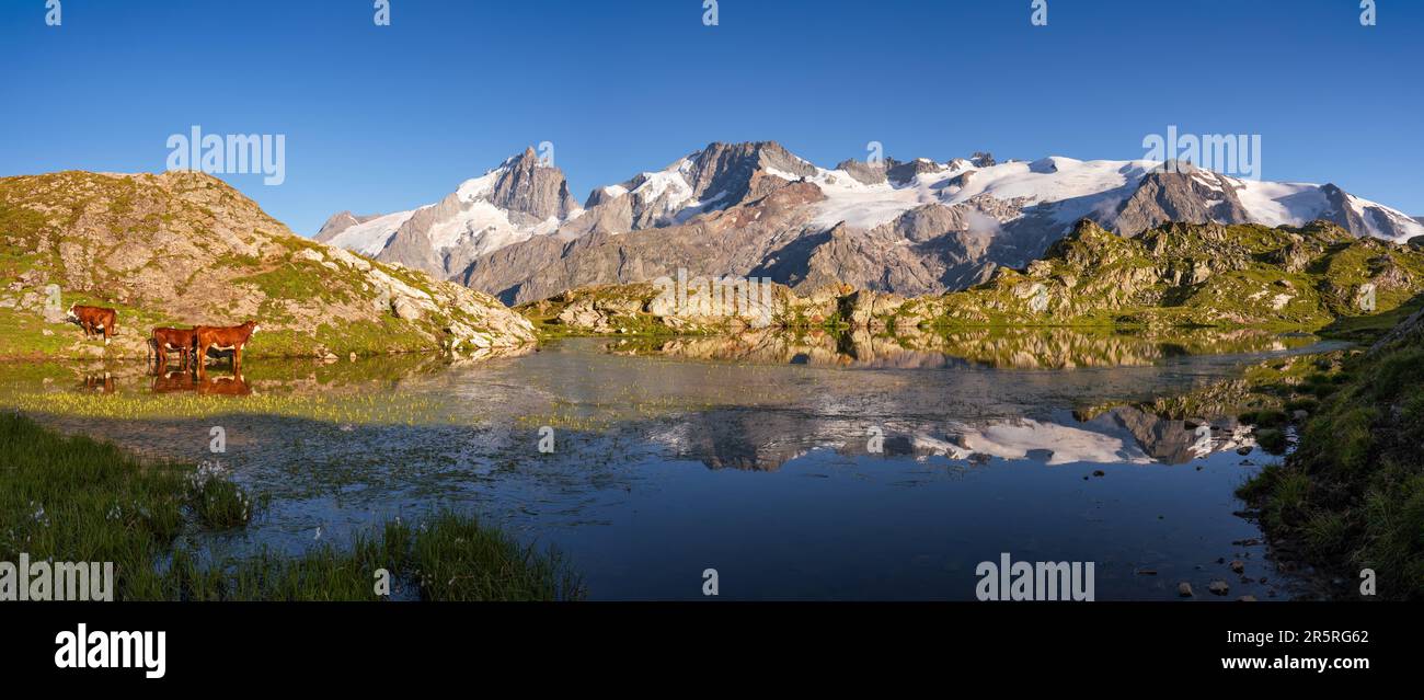 Lerie Lake in the Oisans Massif with panoramic view of La Meije peak in Ecrins National Park at sunset. Emparis Plateau. Hautes-Alpes, Alps, France Stock Photo
