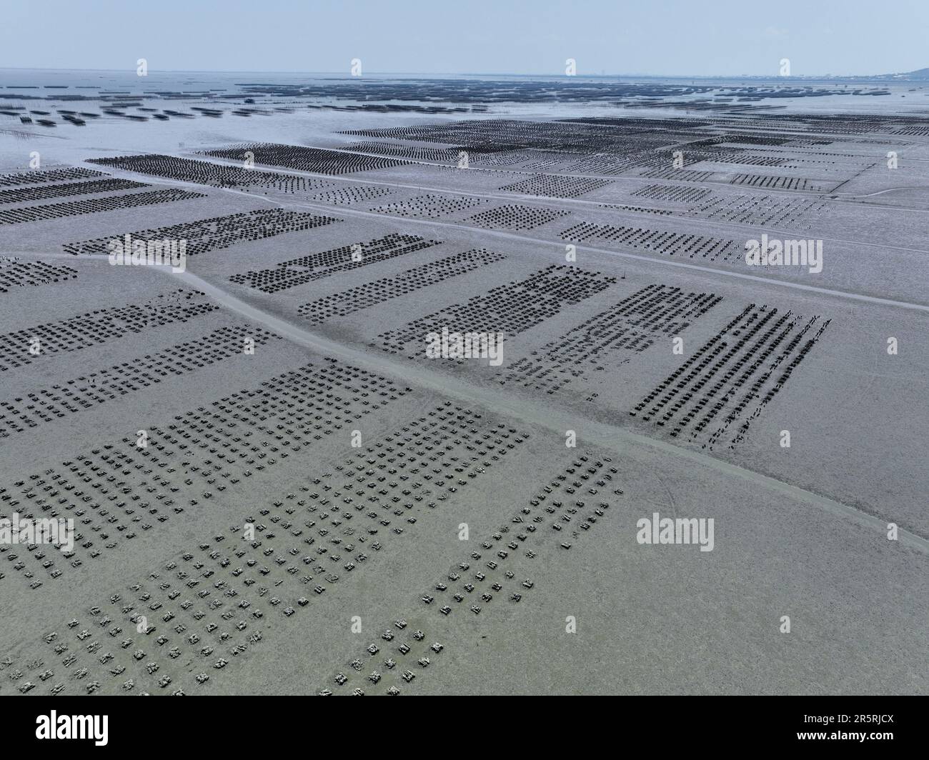 Aerial view of Oyster farm. Sustainable farming. Oyster farming is an