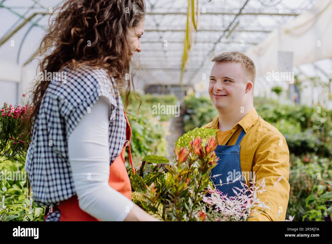 Experienced woman florist helping young employee with Down syndrome in garden centre. Stock Photo
