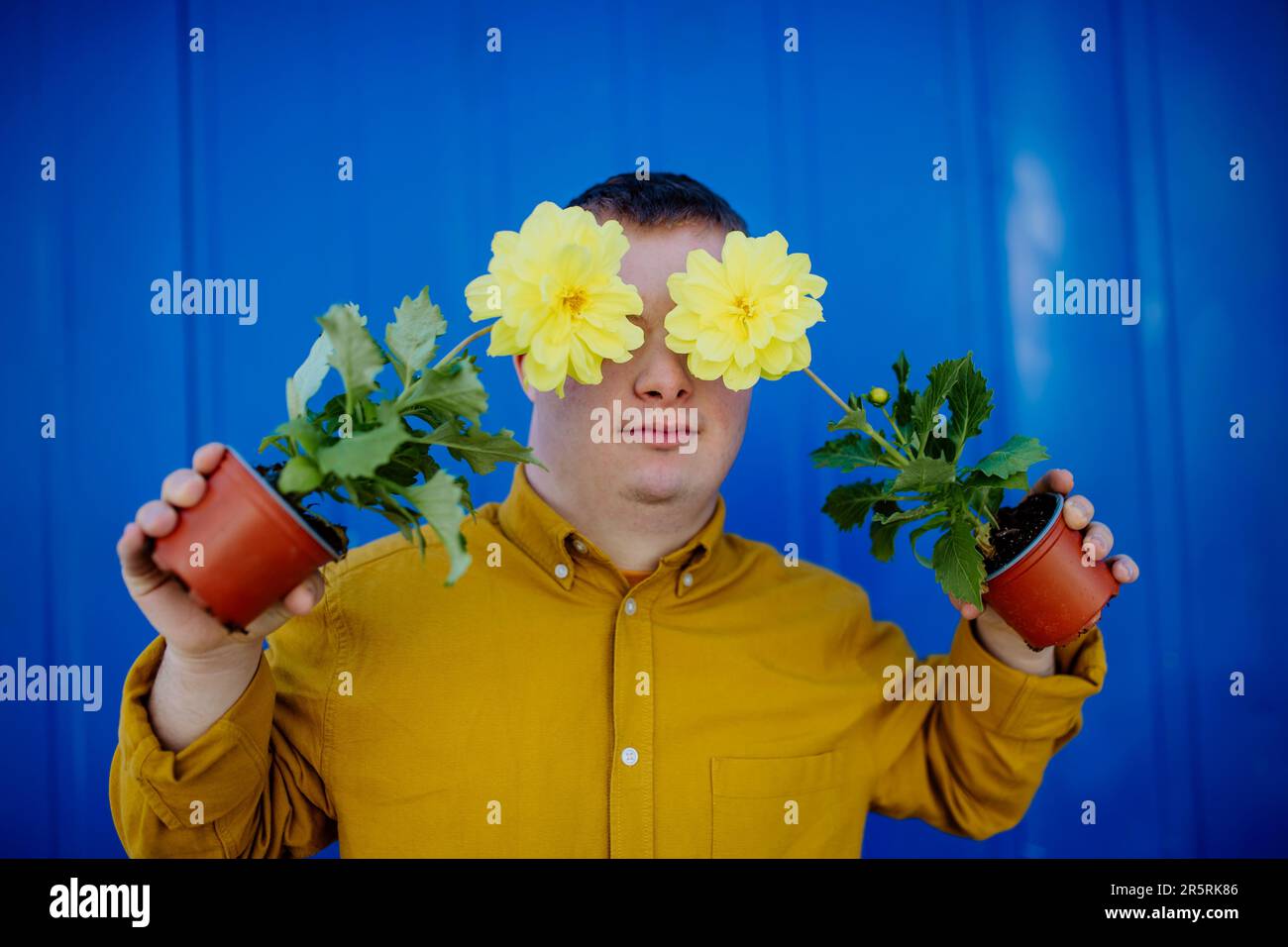 Happy young man with Down syndrome making funny grimace and holding pot flowers against blue background. Stock Photo