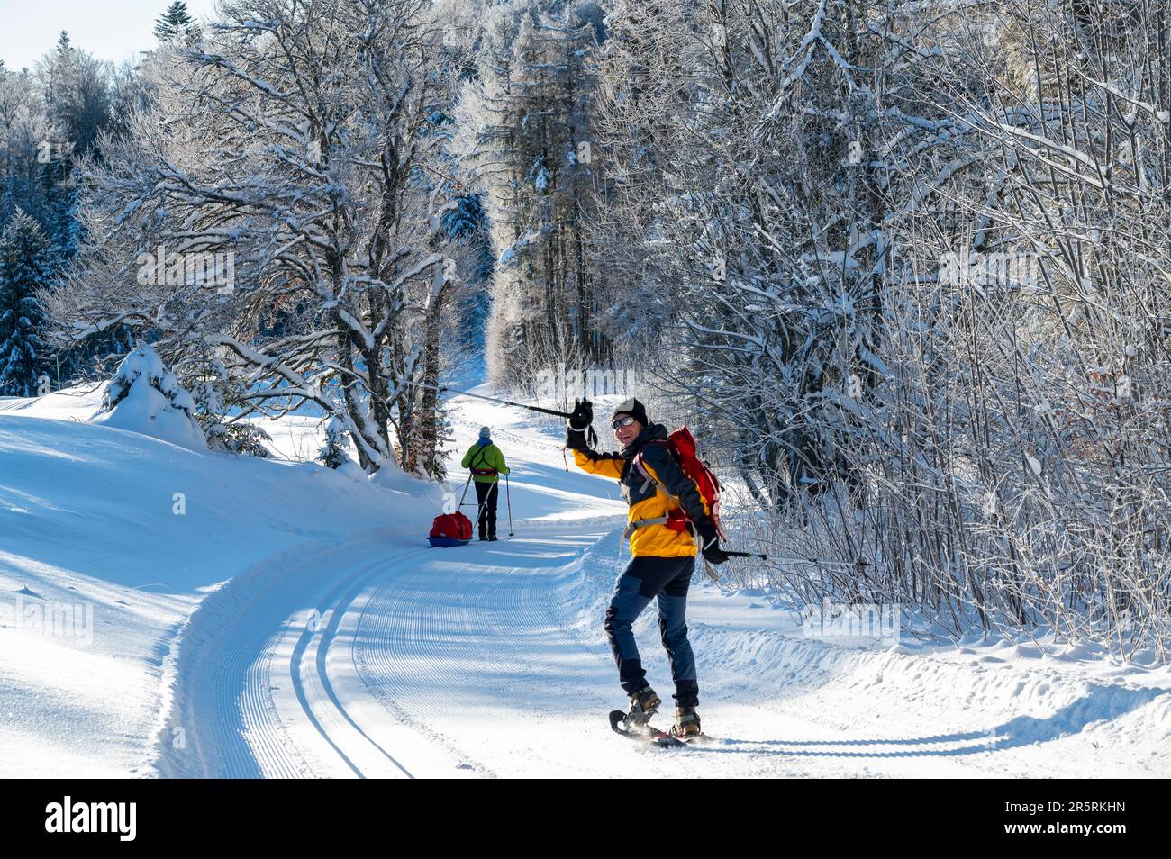 France, Ain, Jura massif, Bellegarde, Crossing in autonomy, Nordic ski