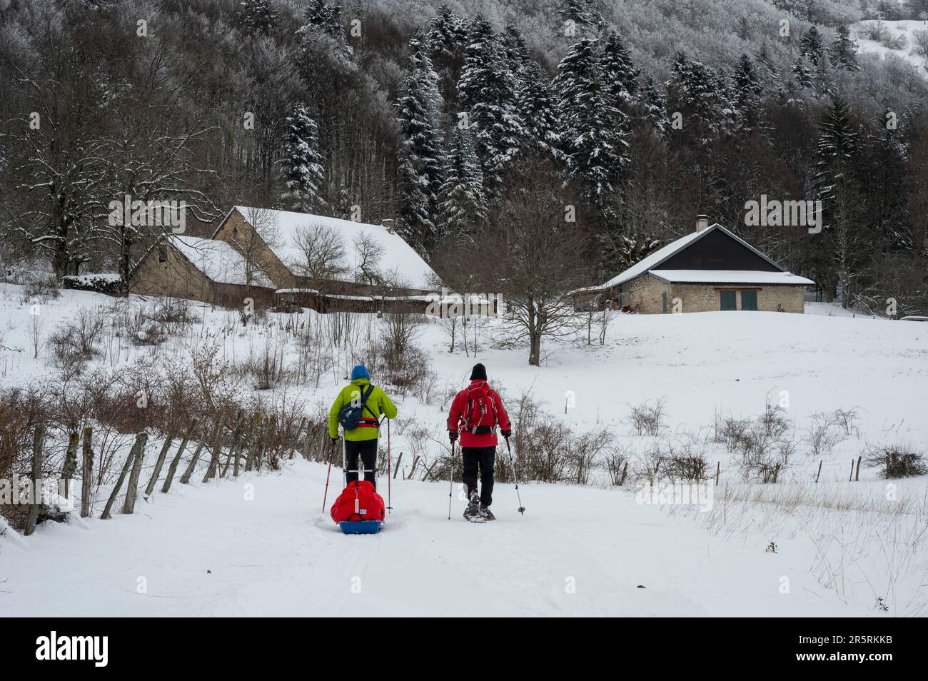France, Ain, Jura massif, Bellegarde, Crossing in autonomy, Nordic ski