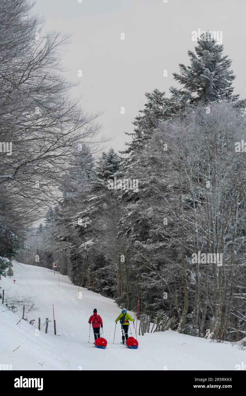 France, Ain, Jura massif, Bellegarde, Crossing in autonomy, Nordic ski