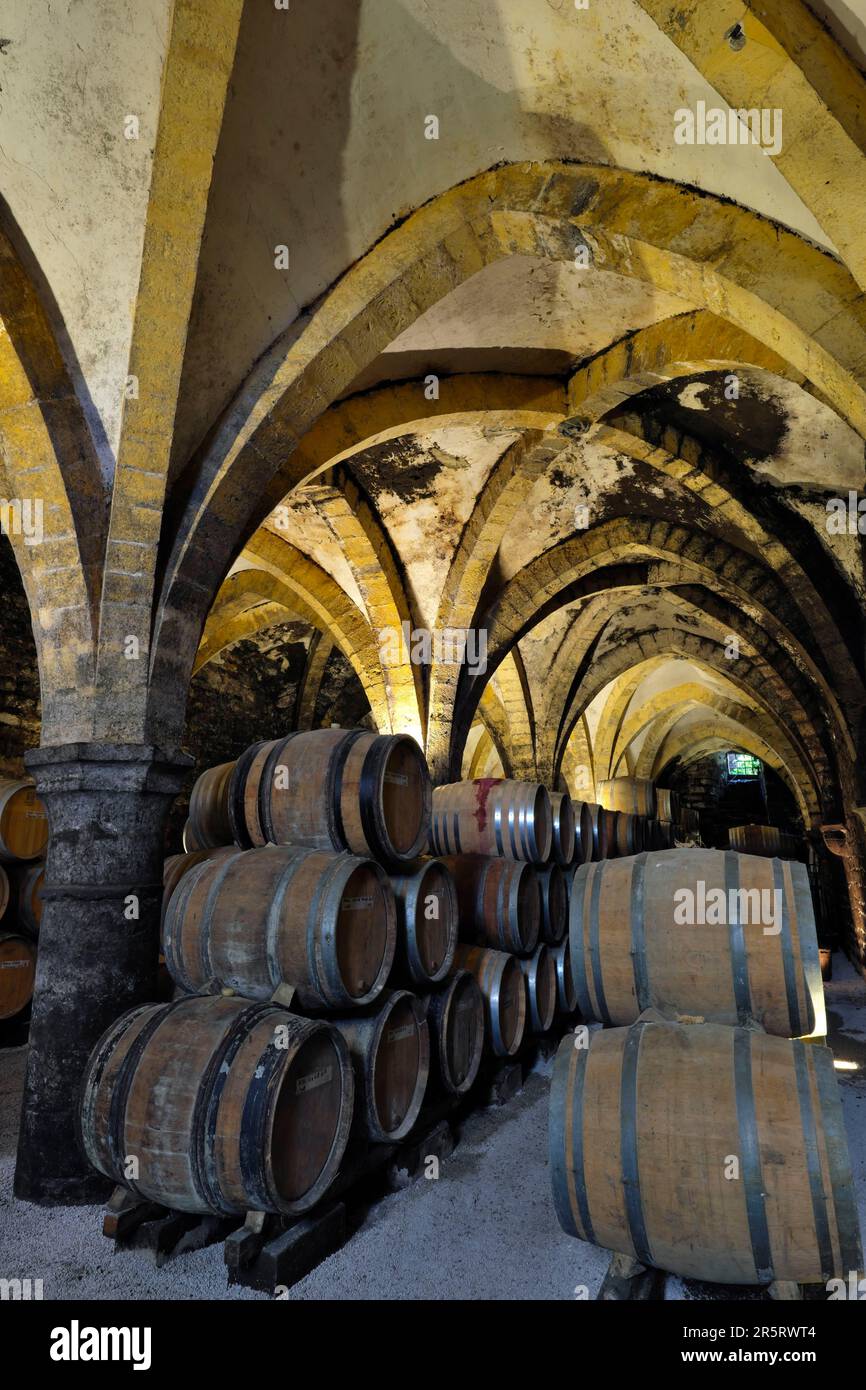 France, Jura, Arbois, Rue de Bourgogne, the Cave de la Reine Jeanne, vaulted cellar dated 14th