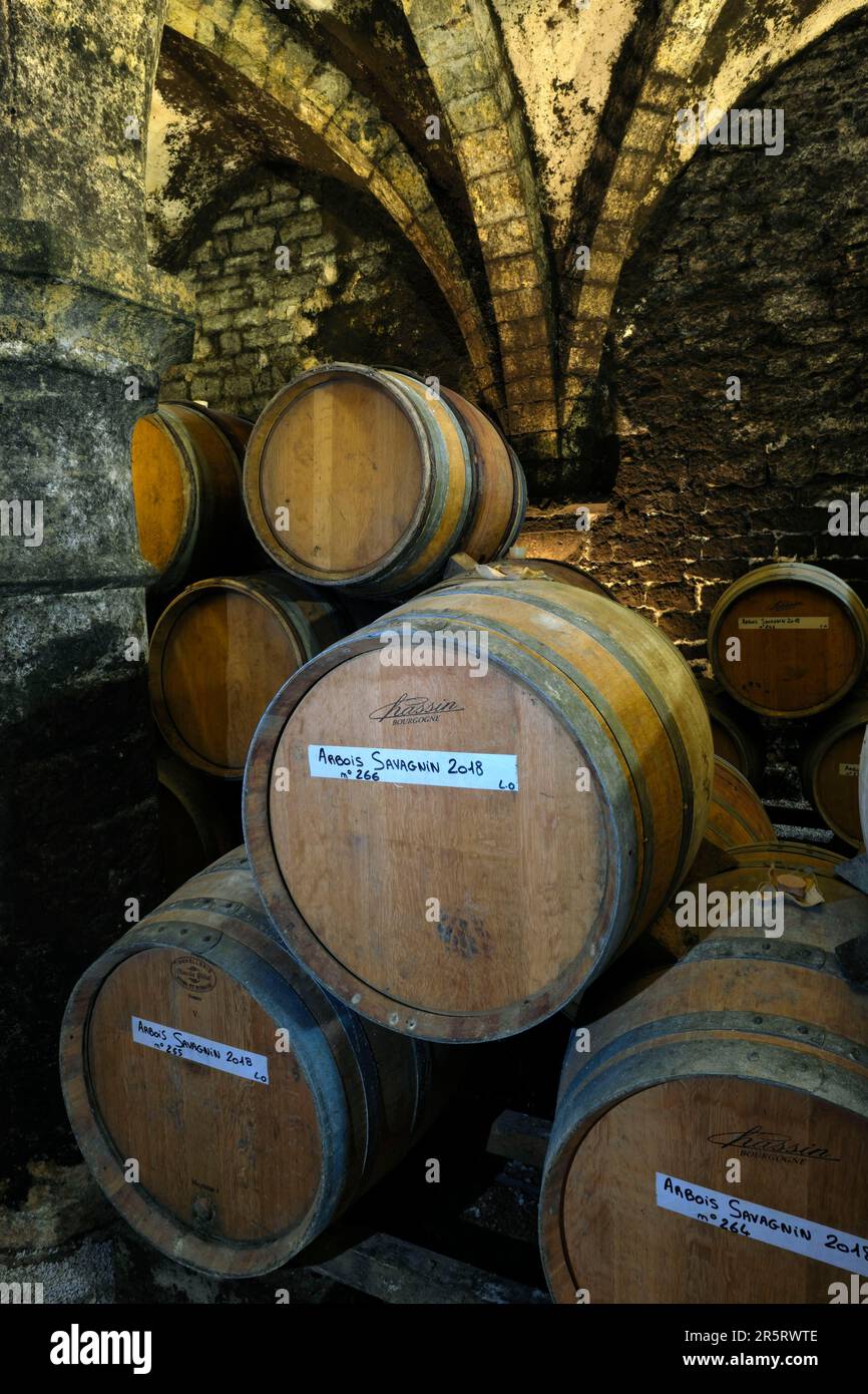 France, Jura, Arbois, Rue de Bourgogne, the Cave de la Reine Jeanne, vaulted cellar dated 14th