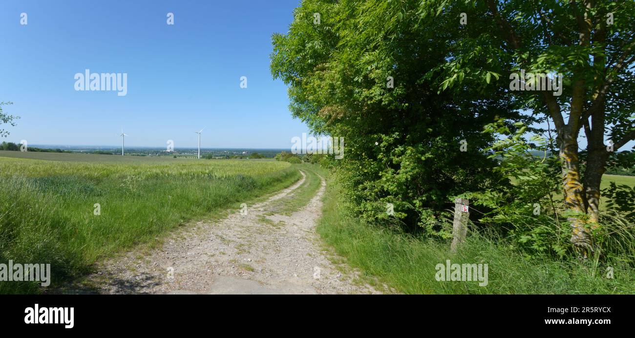 katholische kirche mariä himmelfahrt hagen am teutoburger wald
