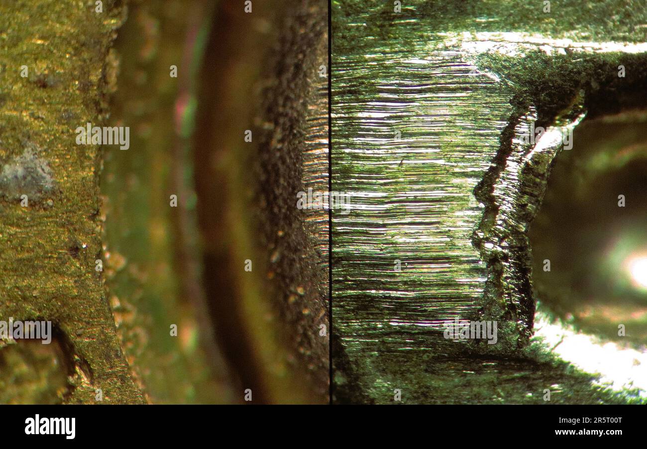 Cartridge case microscopic comparison Stock Photo Alamy