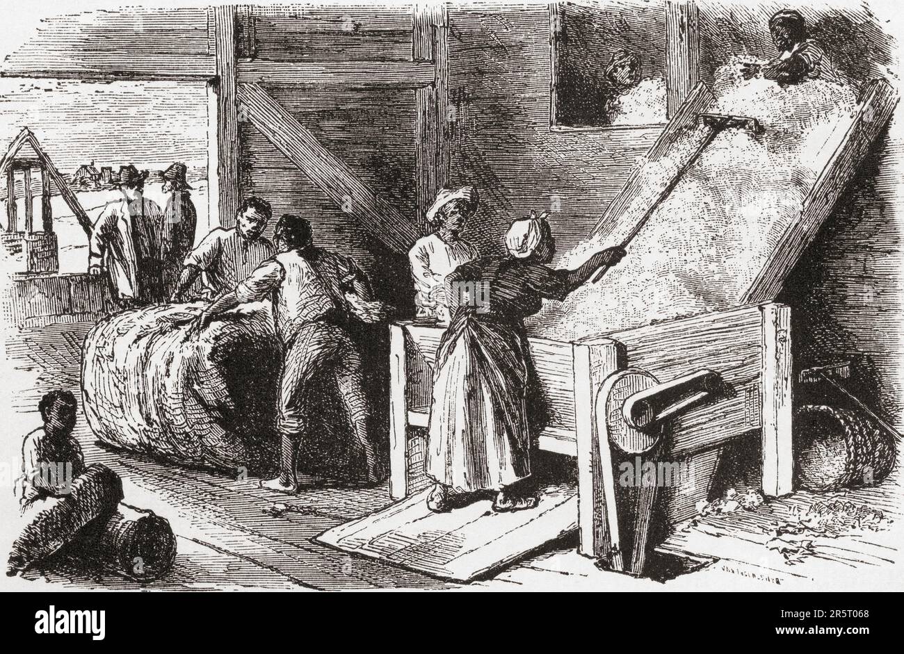 Slaves working at a gotton gin, USA in the 19th century. A cotton gin is a machine that