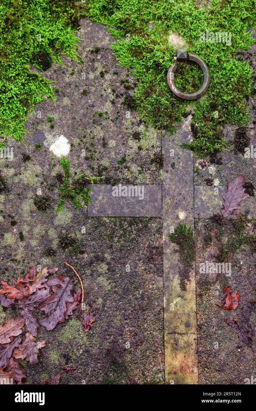 An old headstone slowly disappears under the moss in a cemetery in Becerrea Ancares Lugo Galicia Stock Photo