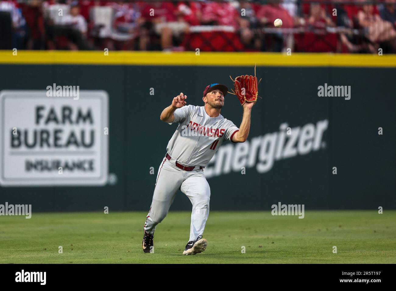 Defeated Razorback June 4, 2023: Razorback outfielder Jared Wegner #11 comes in under a ...