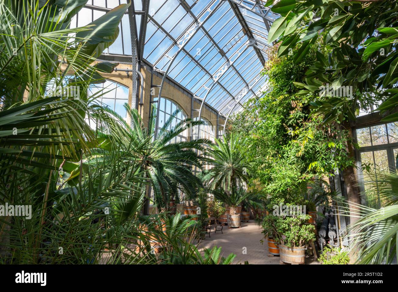Netherlands, Amsterdam, downtown, botanical garden Stock Photo - Alamy