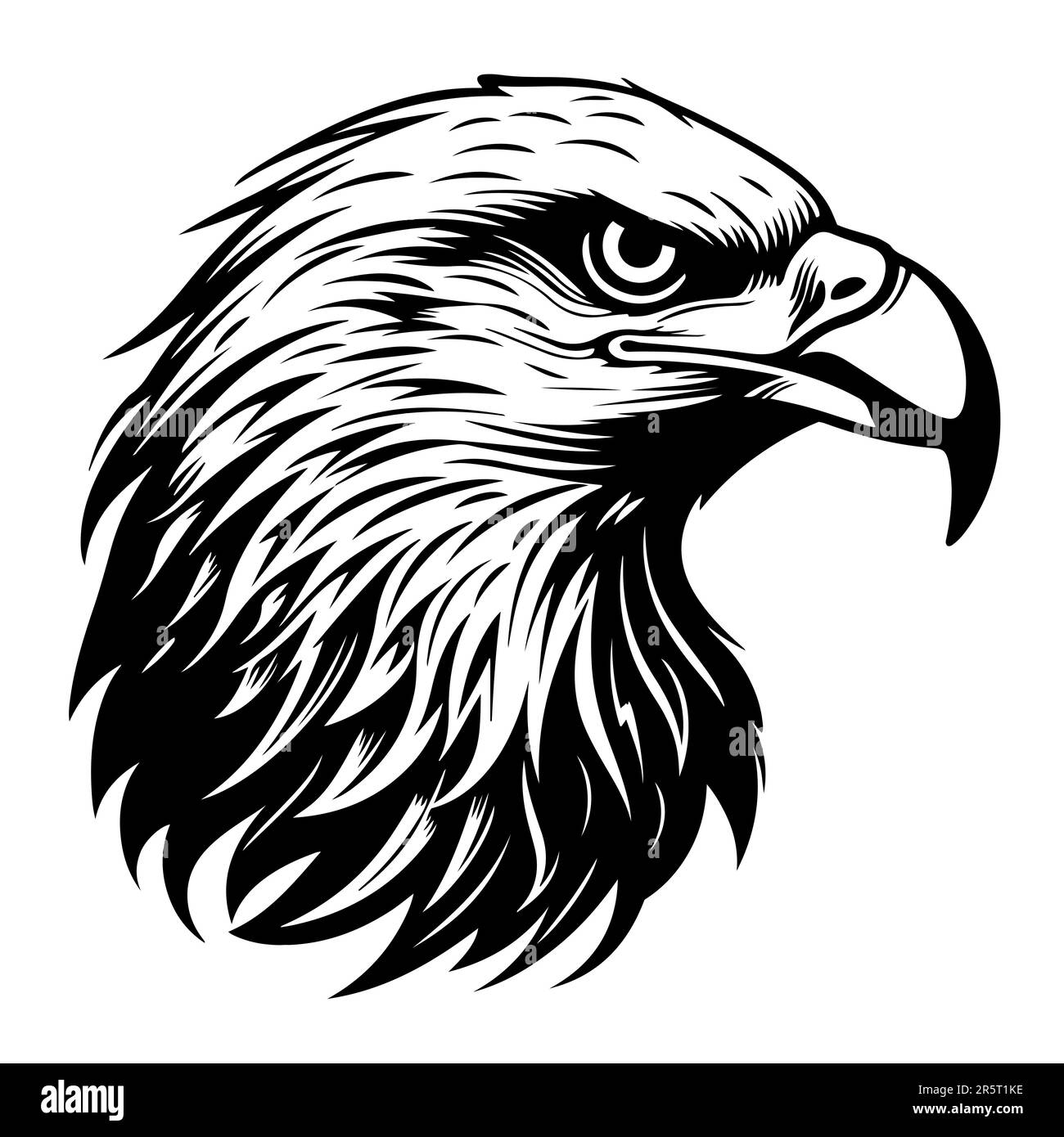 Eagle head detailed black outline vector illustration. Stock Vector