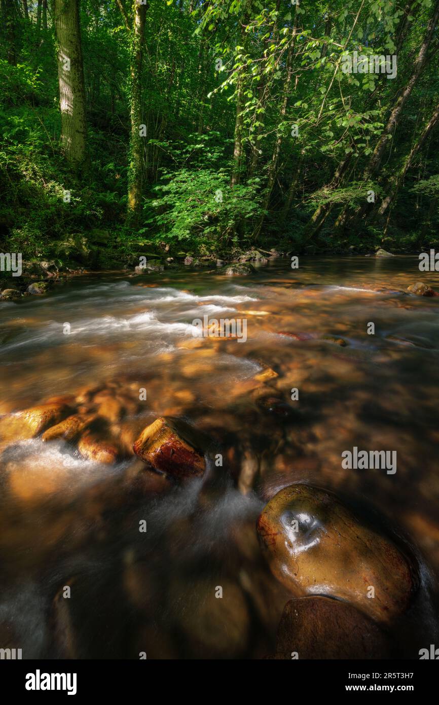 Sunset lights sneak through the forest and illuminate the reddish pebbles of a river in Becerrea Ancares Lugo Galicia Stock Photo