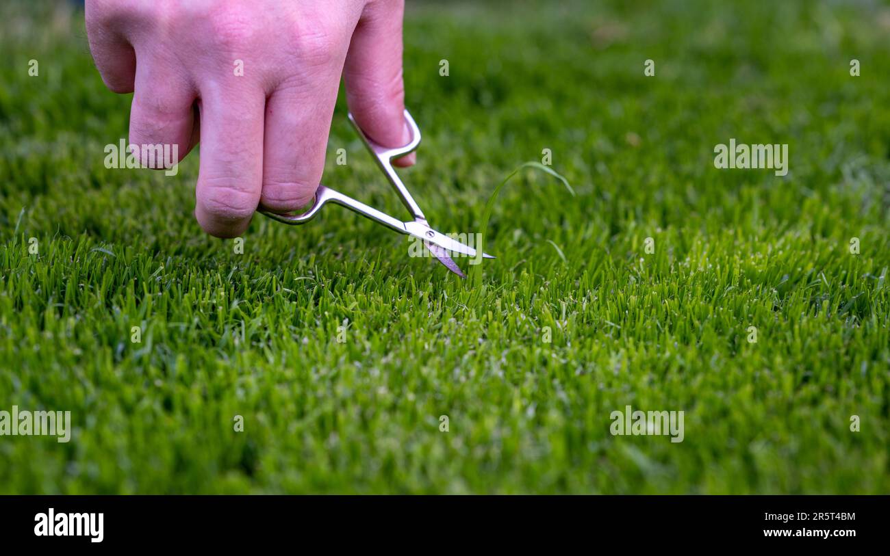Symbol for a perfectionist who cuts the lawn with small scissors. Stock Photo