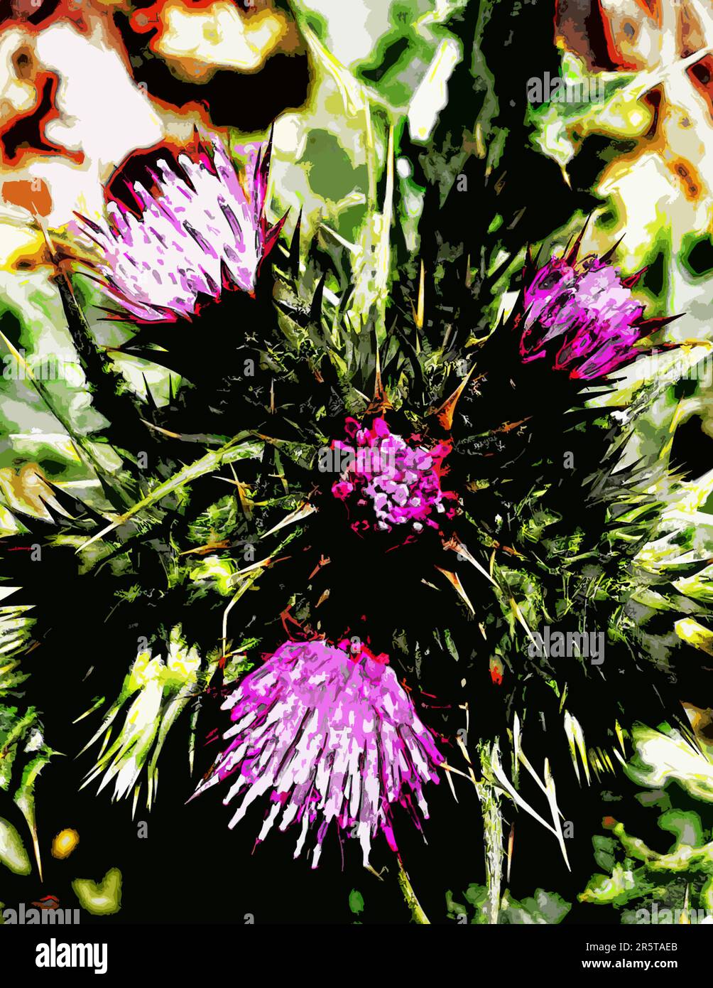 Bold & stylised art of Carduus pycnocephalus, Italian thistle, Italian plumeless thistle, Plymouth thistle, considered noxious & invasive by some Stock Photo