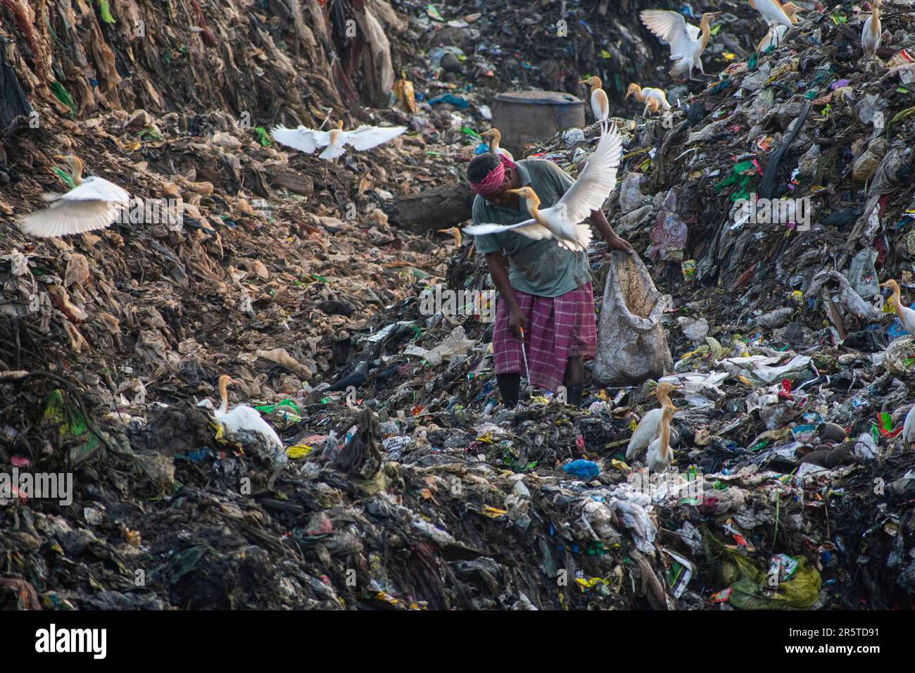 GUWAHATI, INDIA JUNE 4 Ragpickers collect reusable items at the