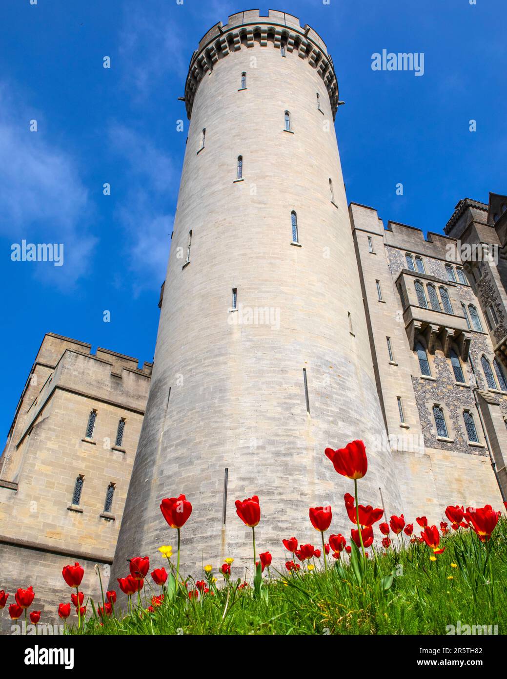 Sussex, UK - April 29th 2023: Carpet of beautiful red Tulips at the historic Arundel Castle in Arundel, West Sussex. Stock Photo