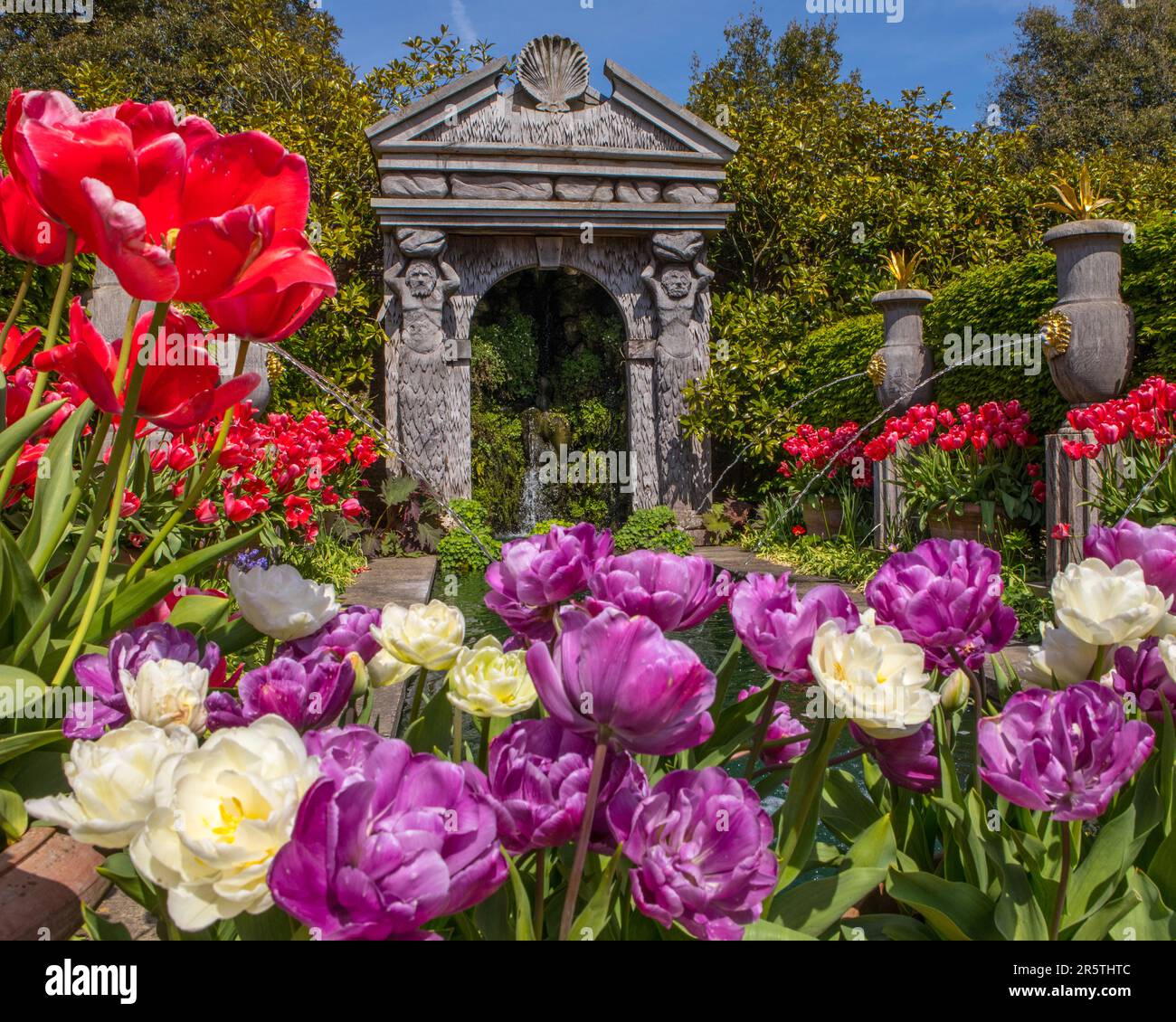 Sussex, UK - April 29th 2023: Beautiful Tulips in the gardens at the historic Arundel Castle in Arundel, West Sussex. Stock Photo