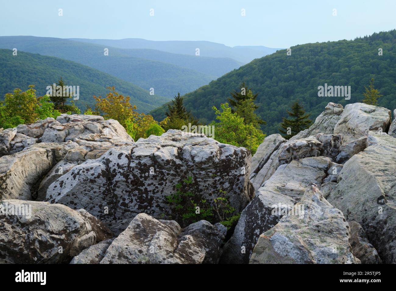 Boulders in foreground with green forests and distant mountains from